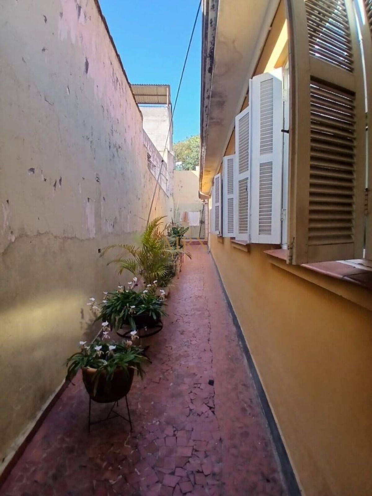 Casa com 3 dormitórios no Mandaqui — foto 3