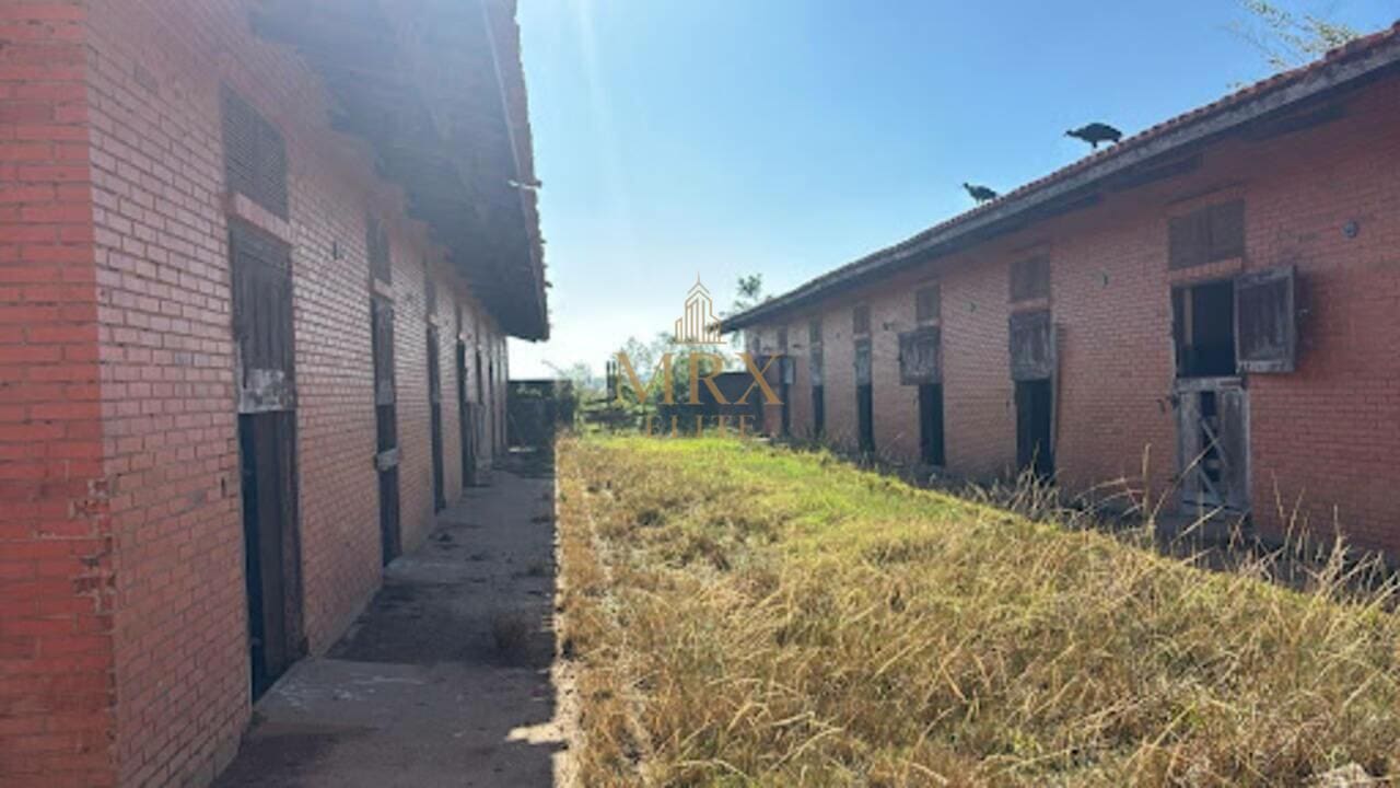 Haras de 484.000 m² em Cesário Lange — foto 2